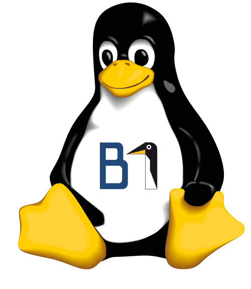 B1 Systems